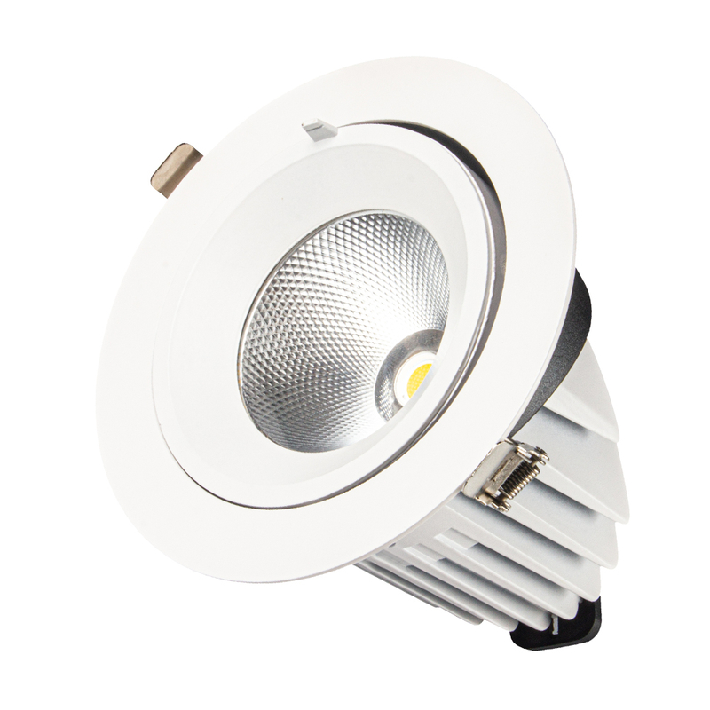 Spot LED DS19